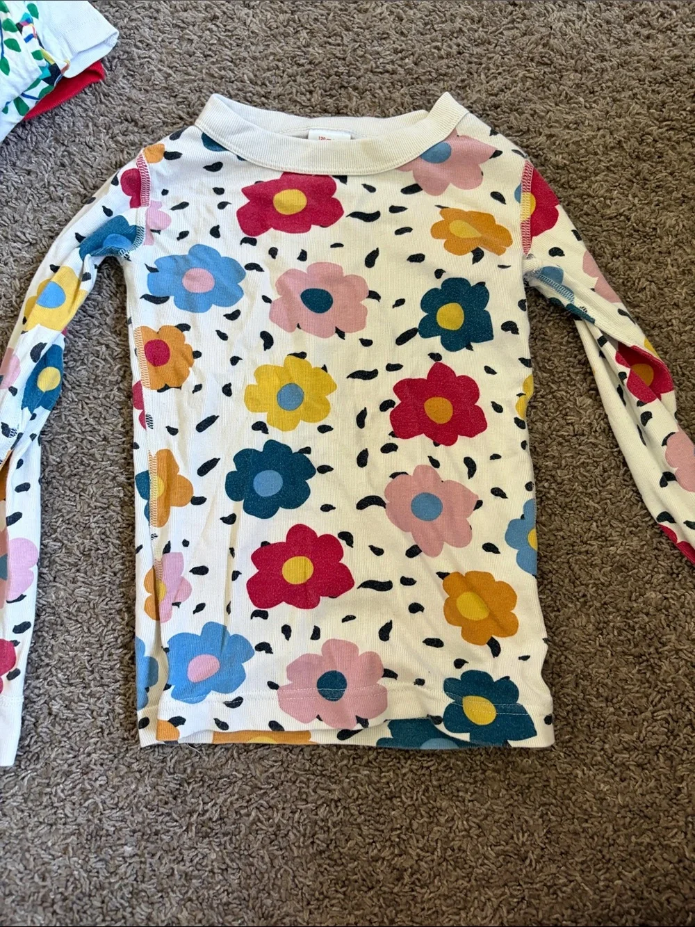 Hanna Andersson White Long Sleeve Top with Multi-Color Floral Print
